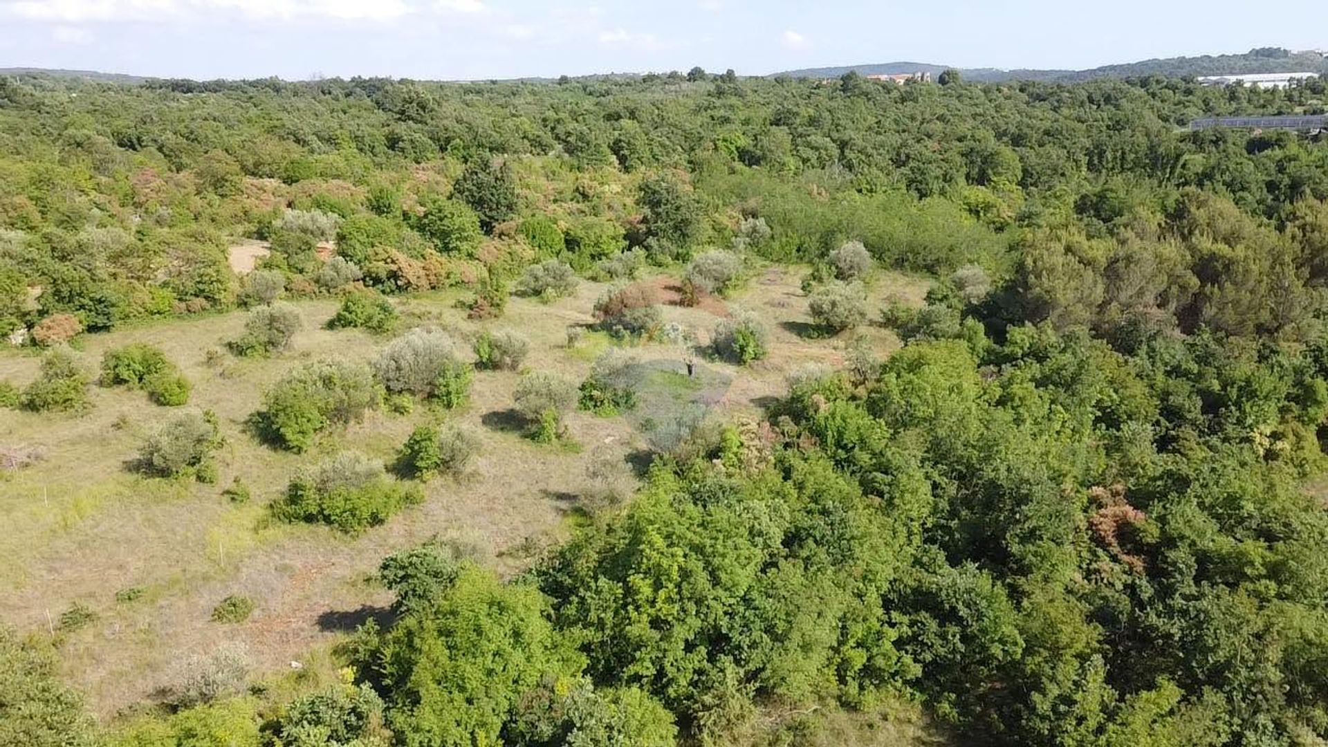 Land in Buje, Istarska županija 12033921