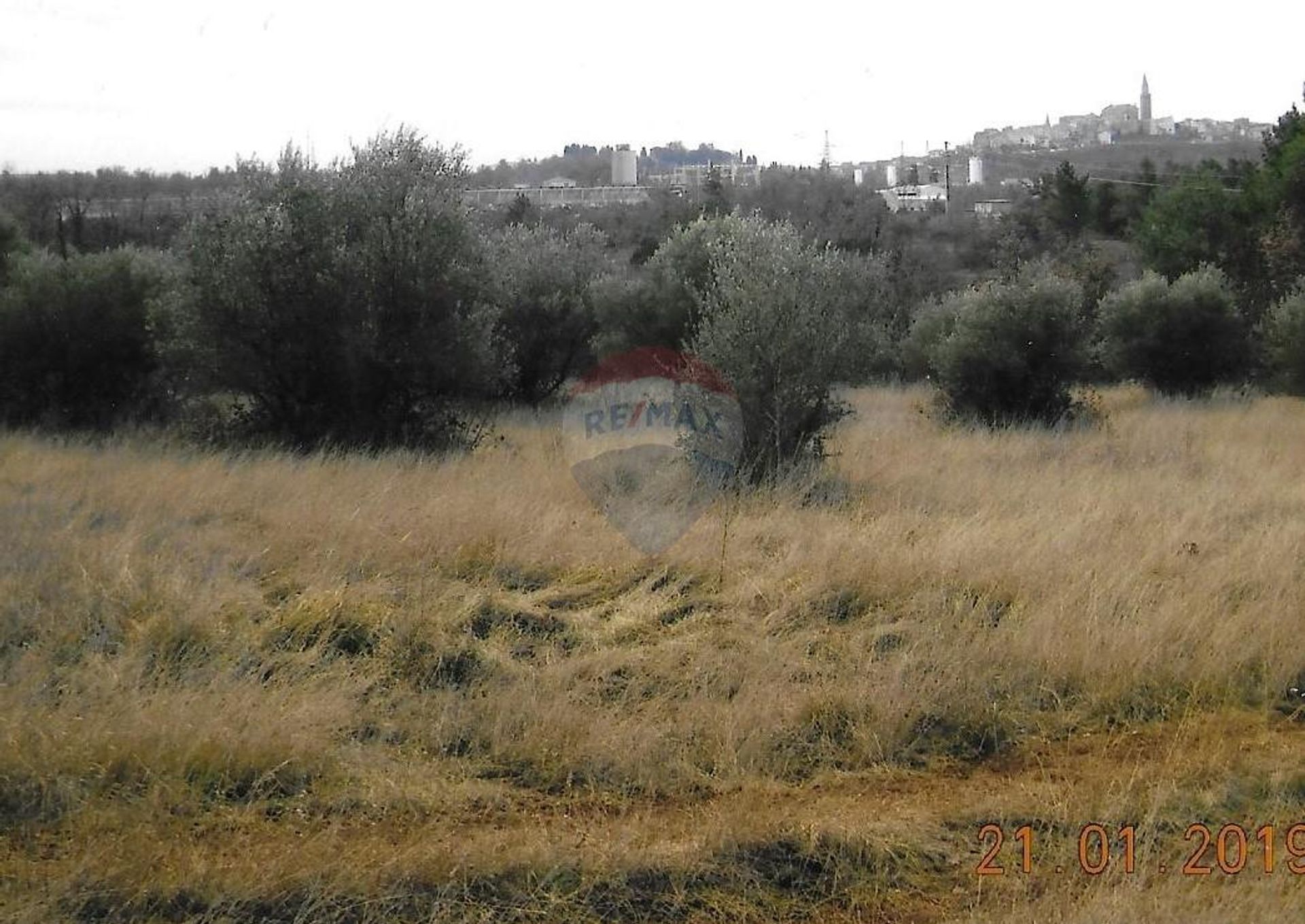 Land in Buje, Istarska županija 12033921