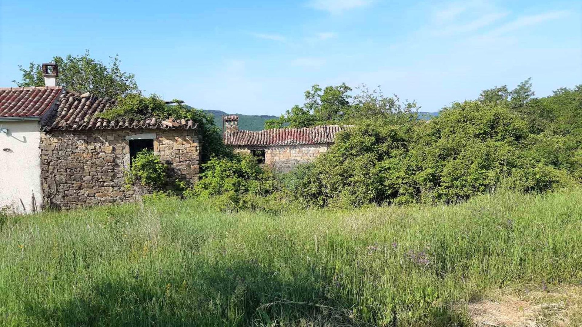 House in Klarici, Istarska Zupanija 12033961