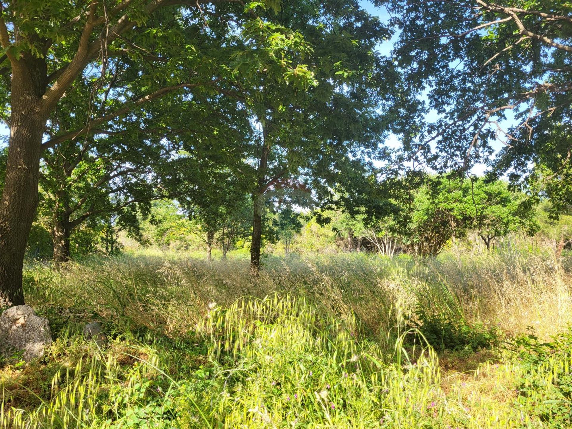 Land in Medulin, Istarska županija 12033977