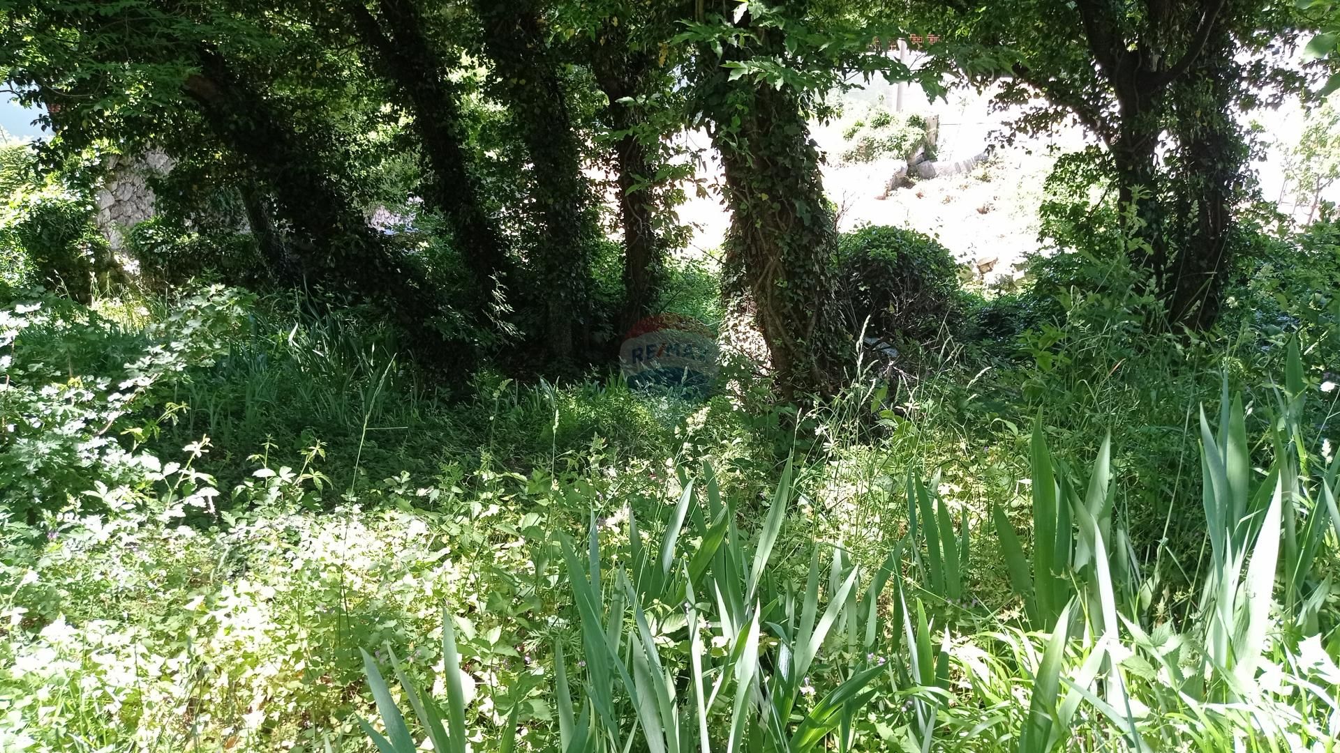 Tierra en barci, Primorsko-Goranska Županija 12033989