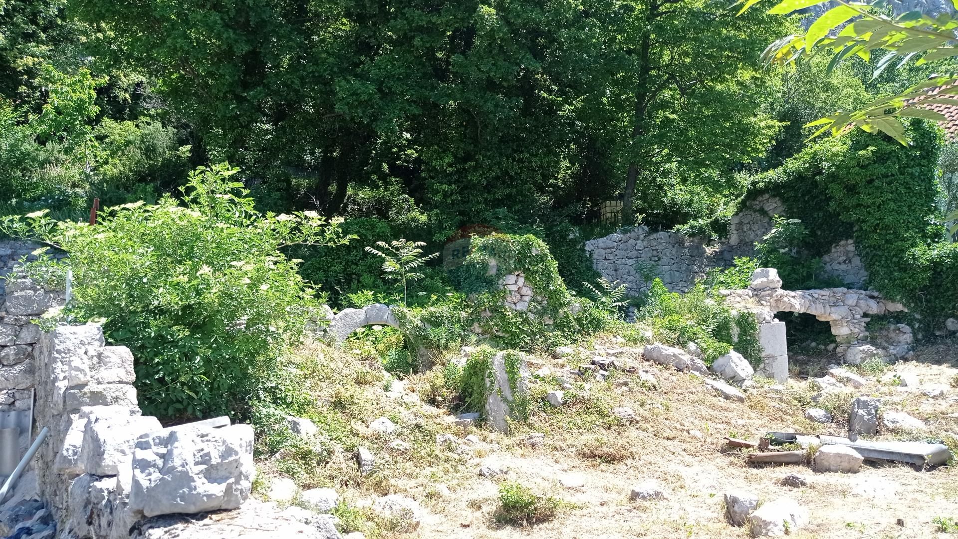 土地 在 巴尔奇, 滨海边疆区-山区祖帕尼娅 12033989