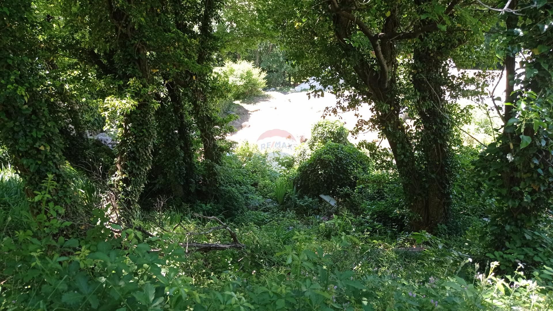 Tierra en barci, Primorsko-Goranska Županija 12033989