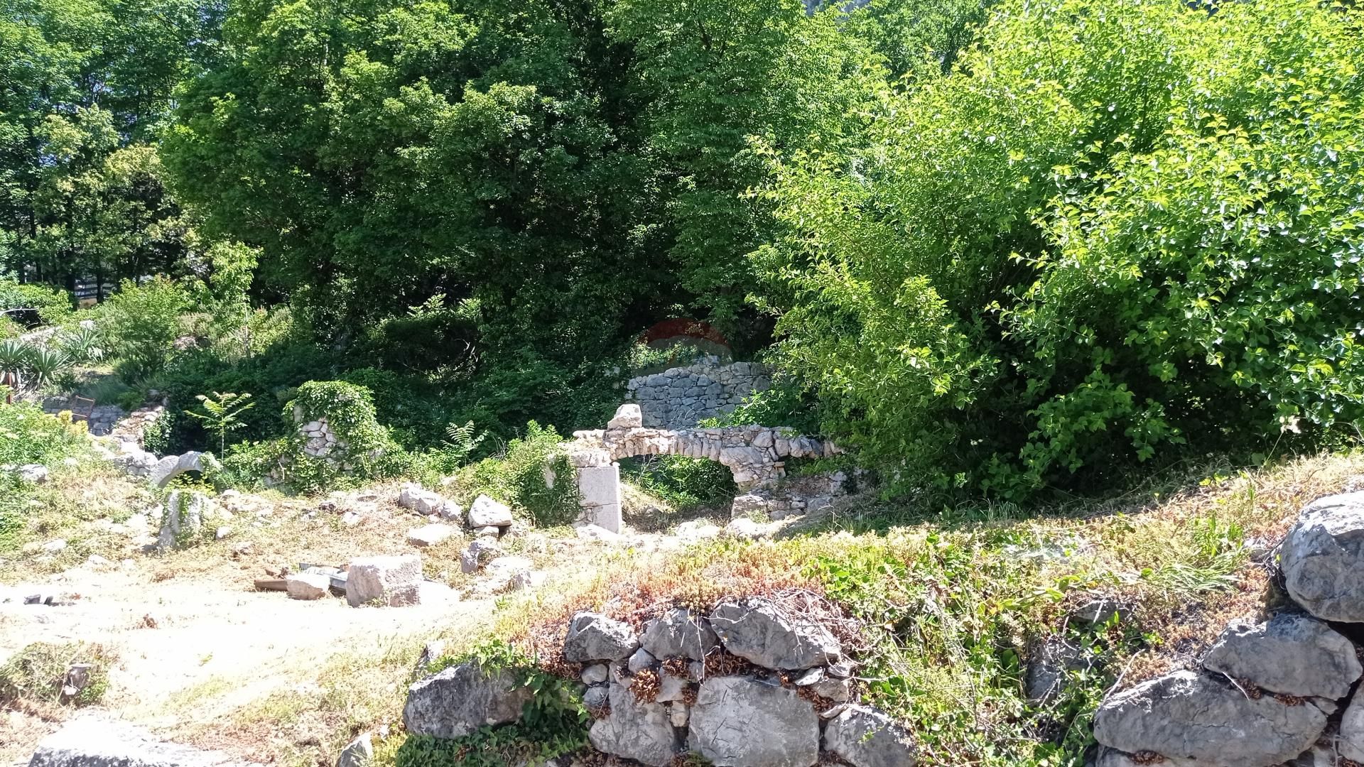 Terre dans Grižane, Primorsko-goranska županija 12033989