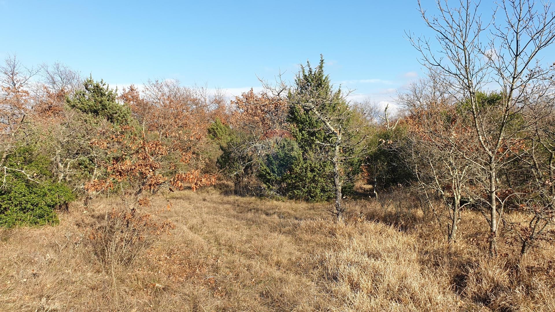 Terre dans Vodnjan, Istarska Zupanija 12034000