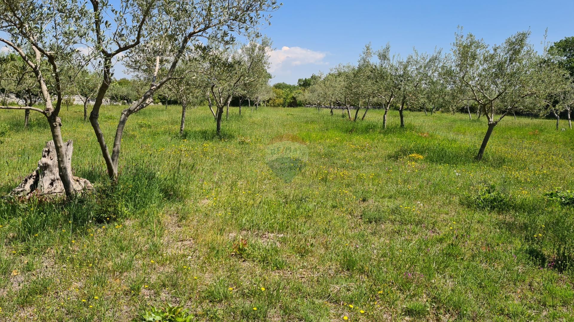 Land i Bale, Istarska Zupanija 12034028