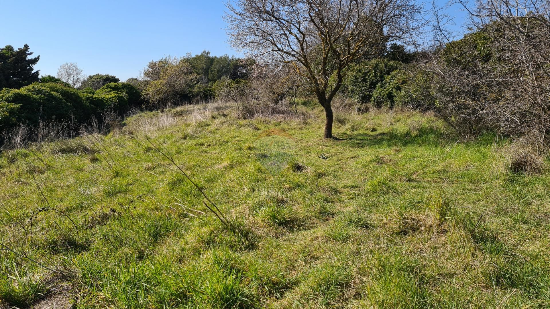 Tanah dalam Premantura, Istarska županija 12034052