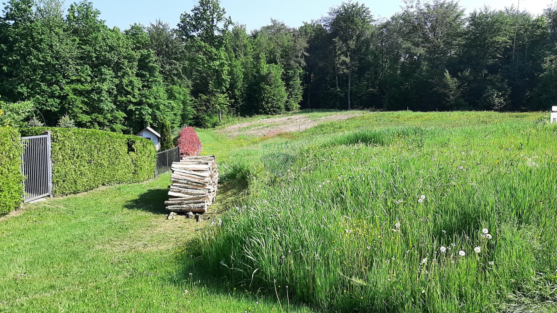 Land in Pisarovina, Zagrebacka Zupanija 12034059