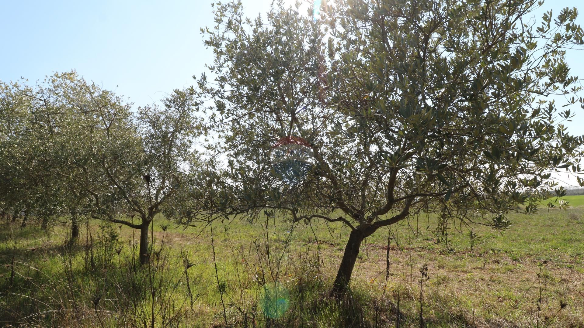 Tierra en castillo, Istarska Županija 12034182