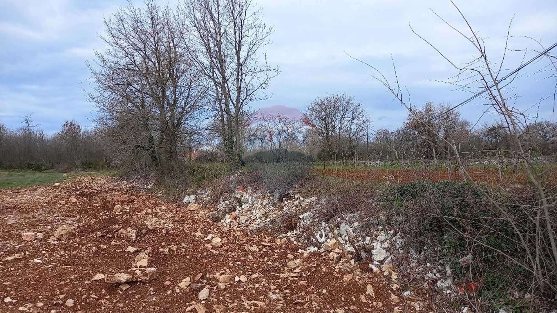 Land im Vodnjan, Istarska županija 12034212