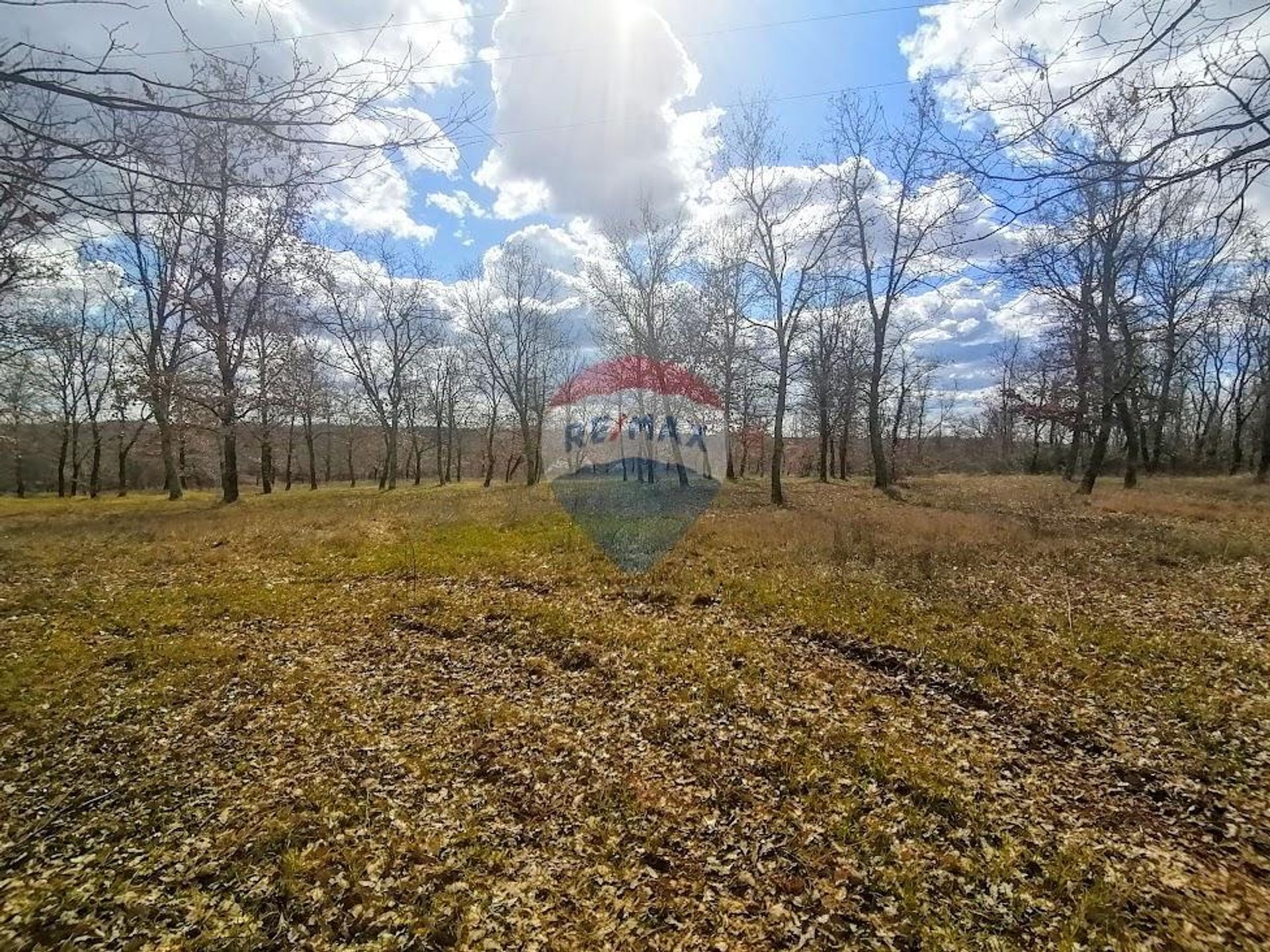 Tanah di Baldaši, Istarska županija 12034214