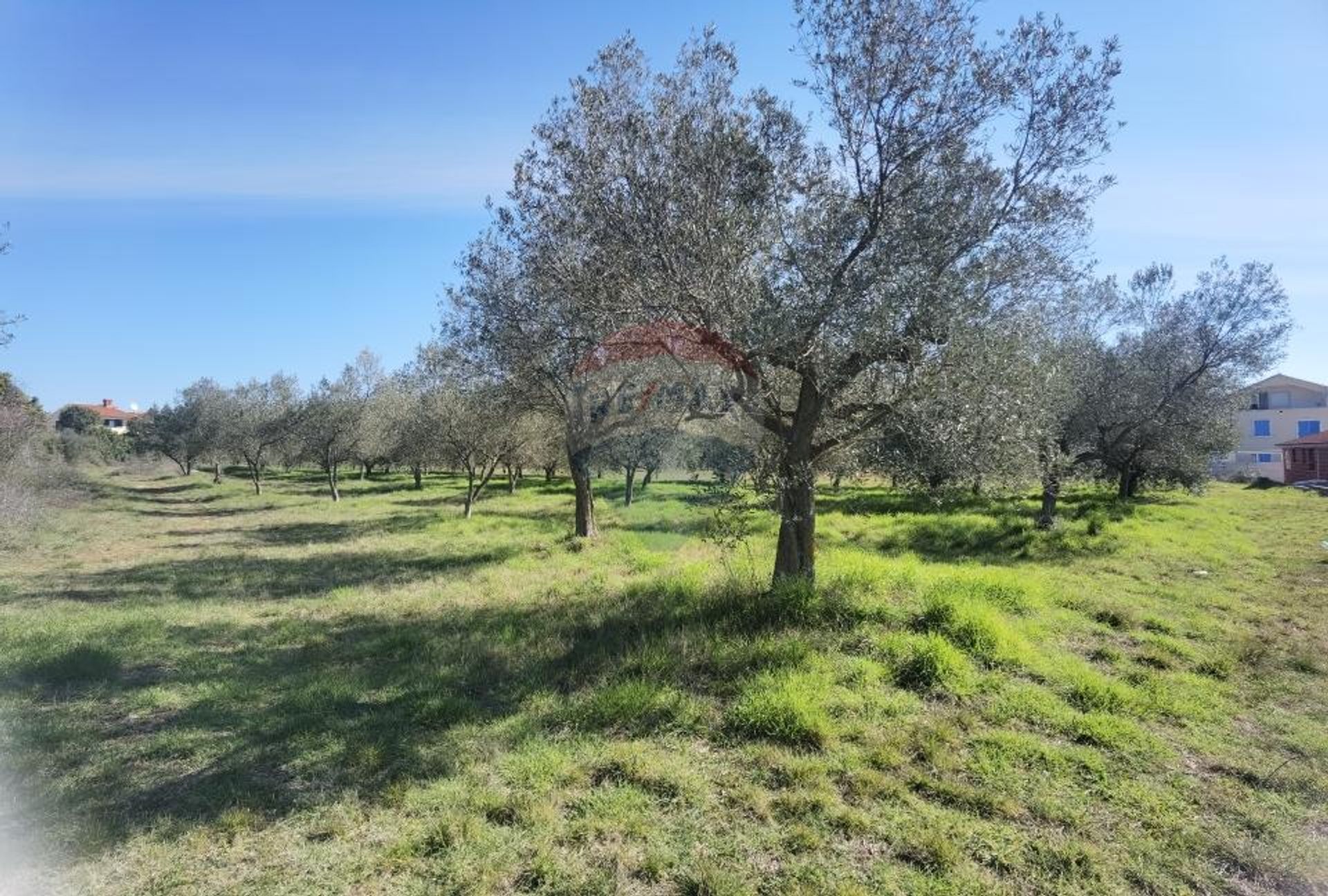 Tierra en Vodnjan, Istarska Županija 12034244