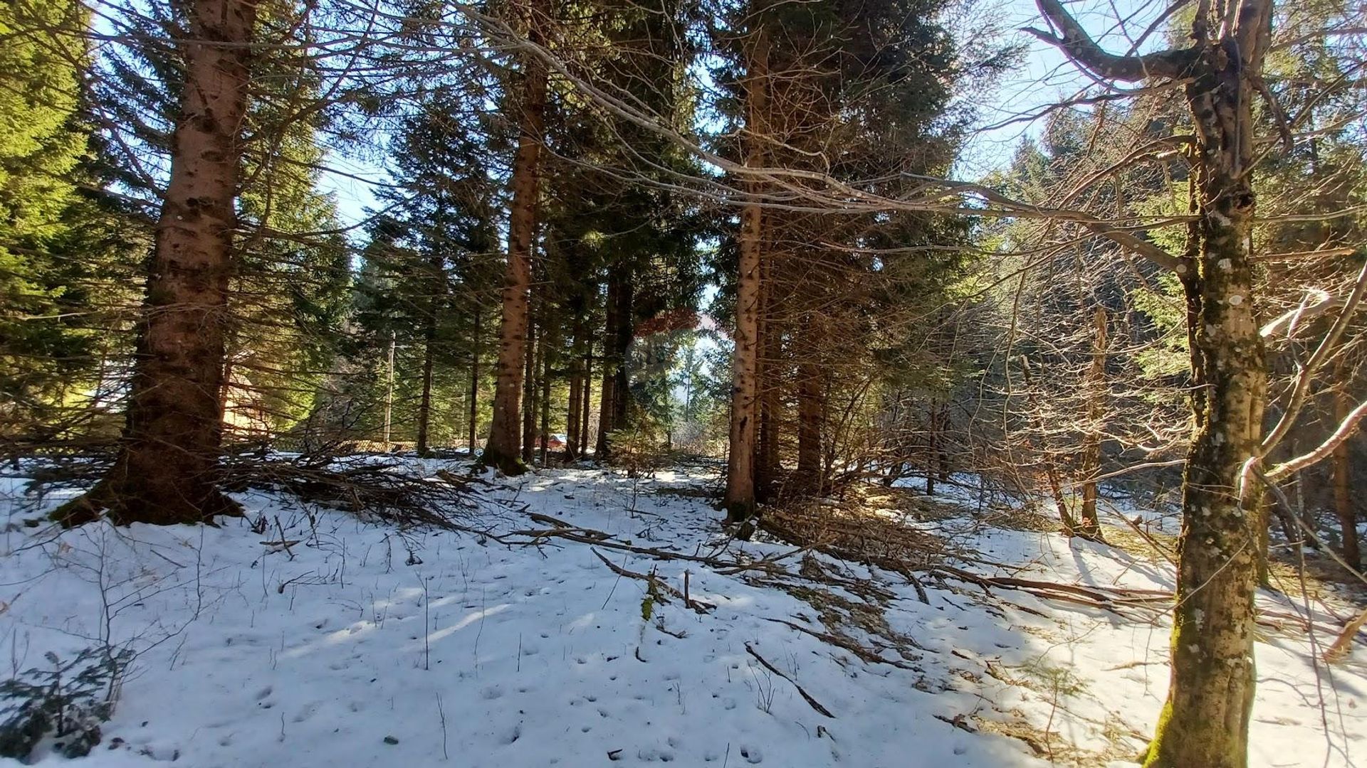 Terre dans Vrbovsko, Primorsko-Goranska Zupanija 12034334