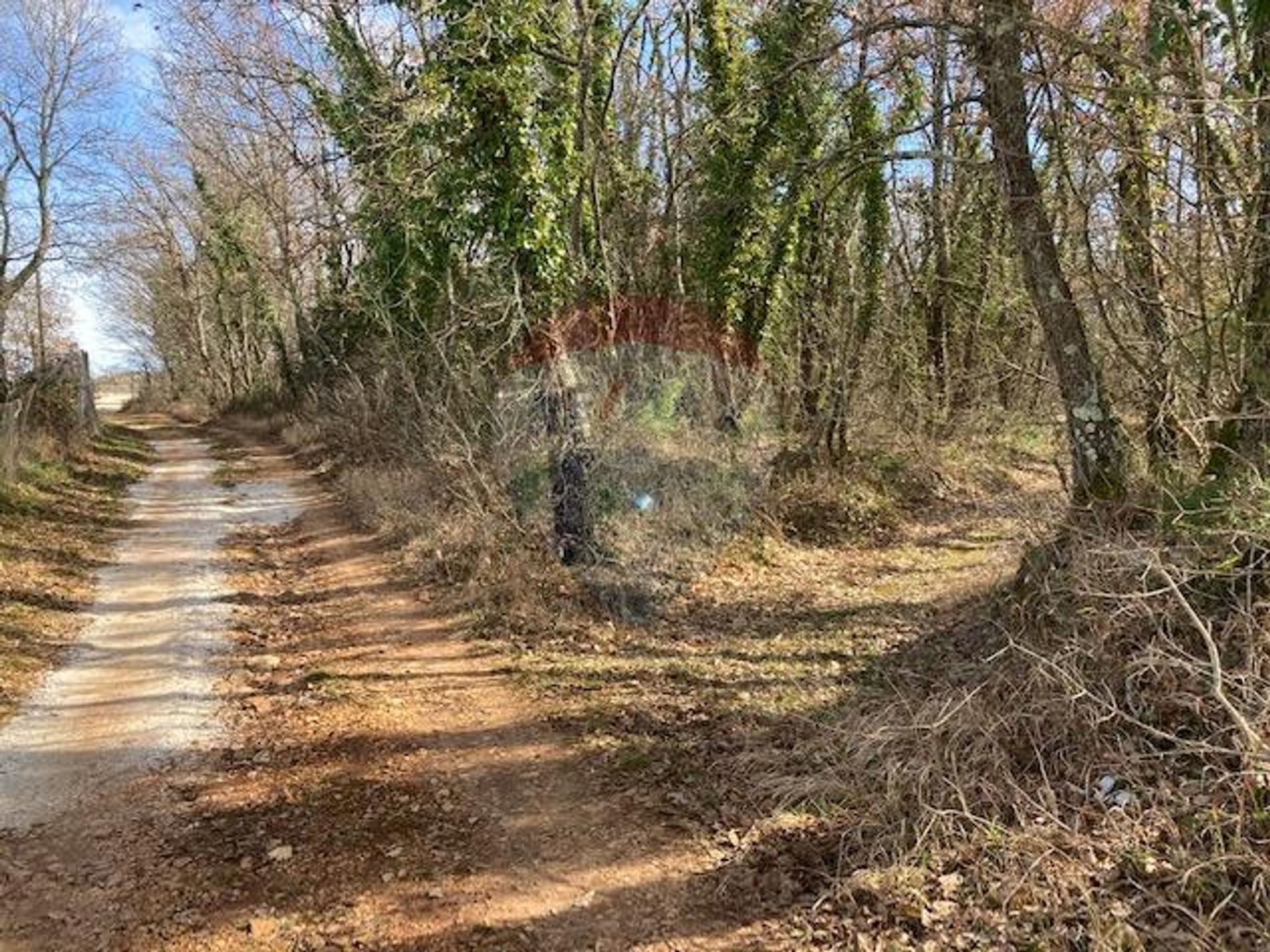 土地 在 斯韋蒂·洛夫雷克·帕澤納蒂基, 伊斯塔斯卡·祖帕尼亞 12034368