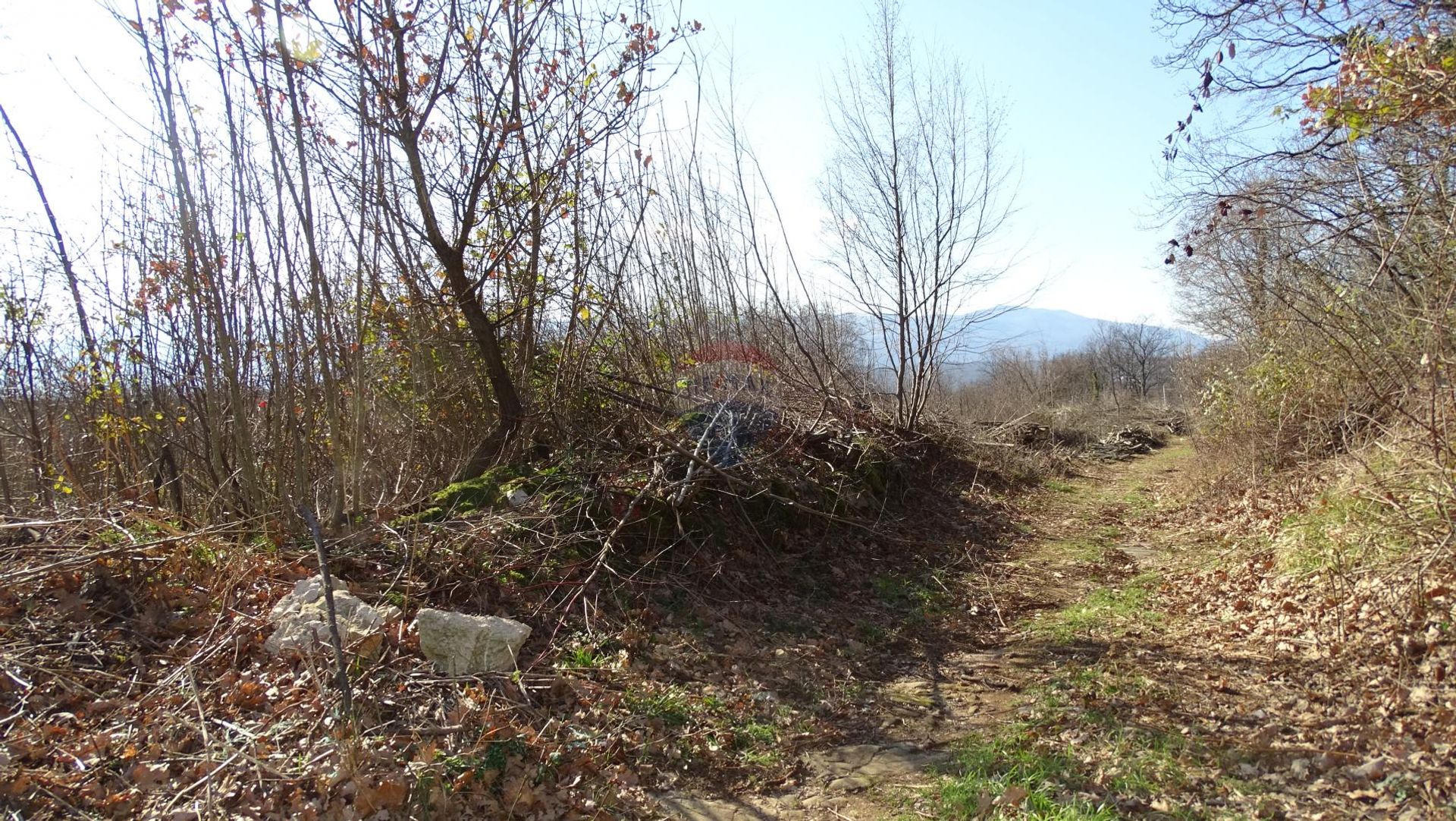 Tanah dalam Viškovo, Primorsko-goranska županija 12034395