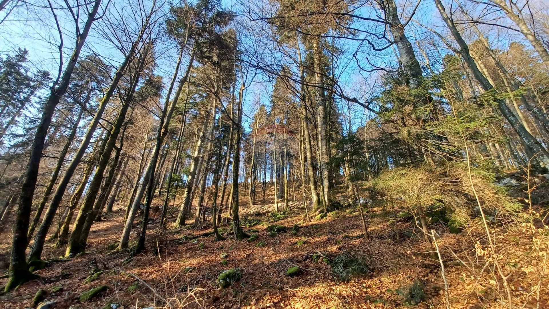 Land in Delnice, Primorsko-Goranska Zupanija 12034407