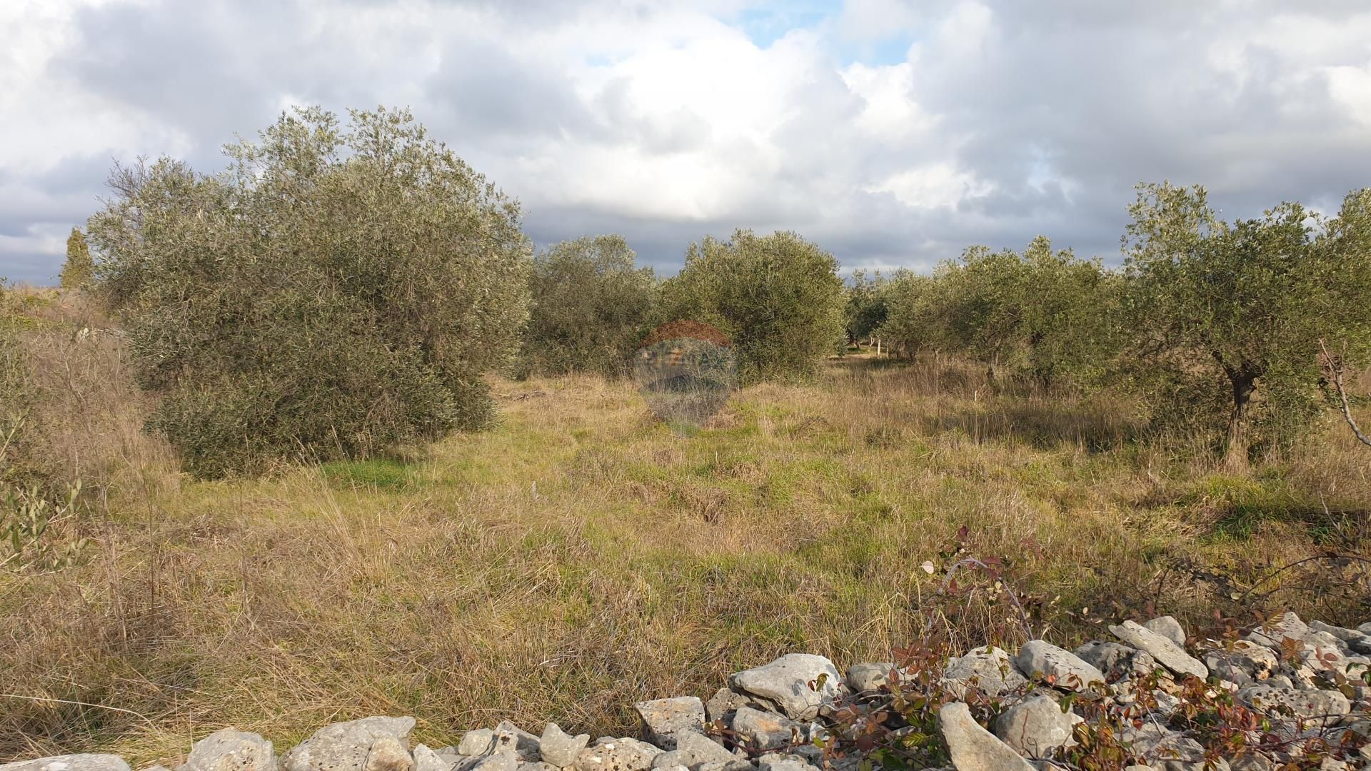 Land i Fazana, Istarska Zupanija 12034441