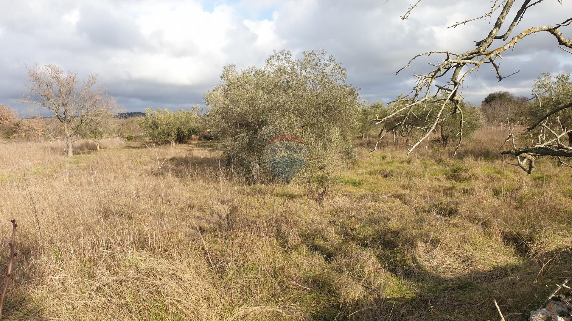 Land i Fažana, Istarska županija 12034441