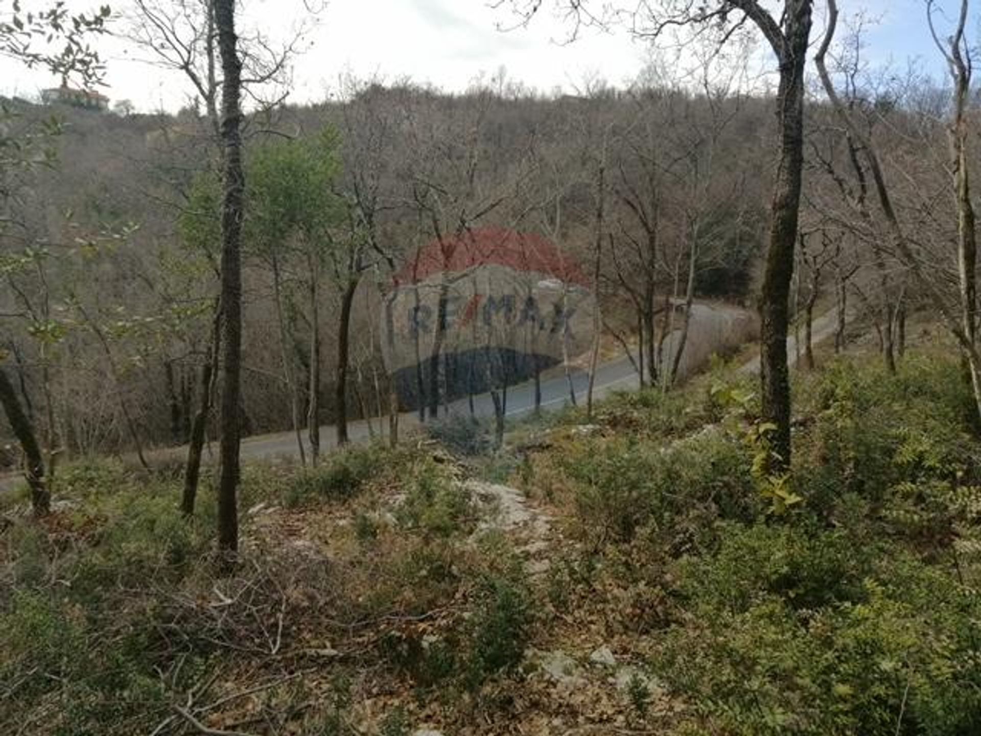 土地 在 奥帕蒂亚, 滨海边疆区-山区祖帕尼娅 12034470