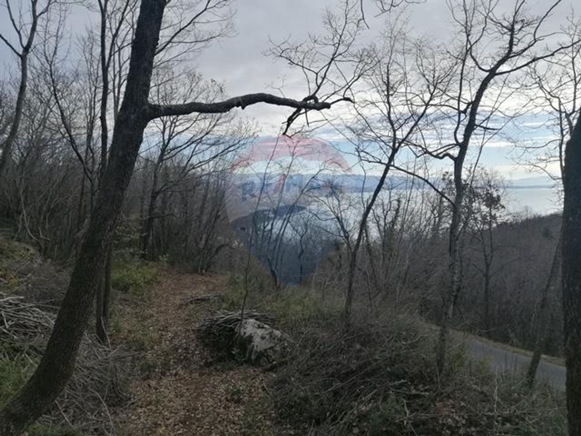 土地 在 奥帕蒂亚, 滨海边疆区-山区祖帕尼娅 12034470