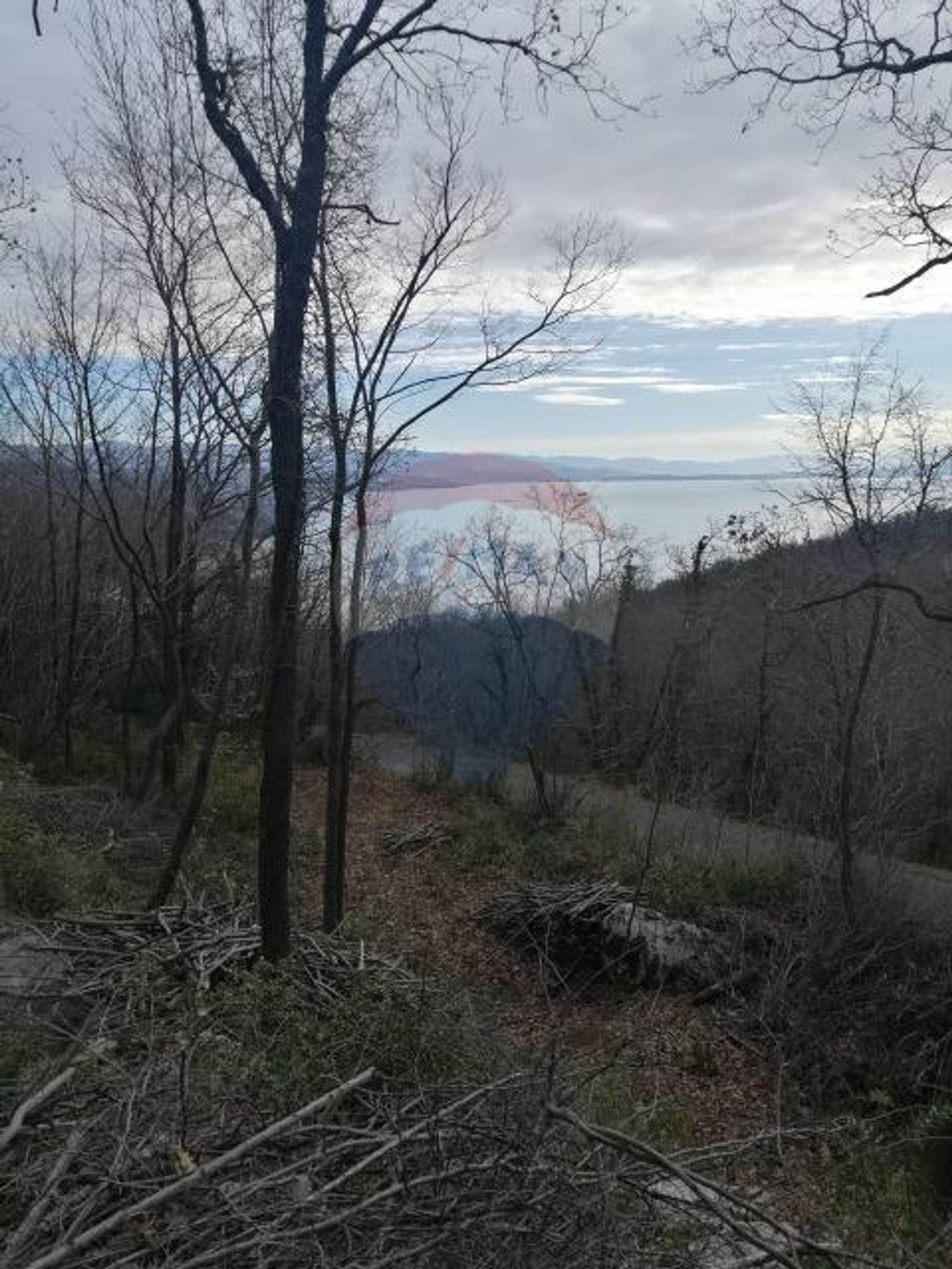 土地 在 奥帕蒂亚, 滨海边疆区-山区祖帕尼娅 12034470