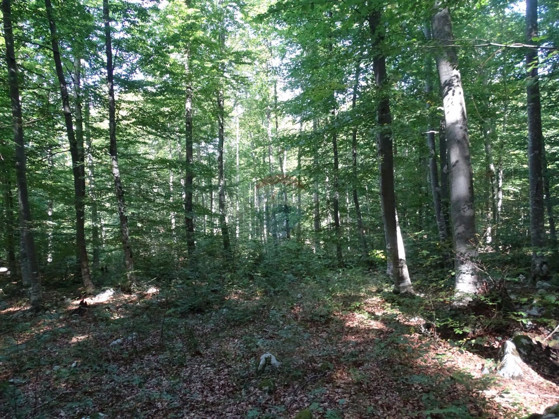 Land in Mrkopalj, Primorsko-Goranska Zupanija 12034560