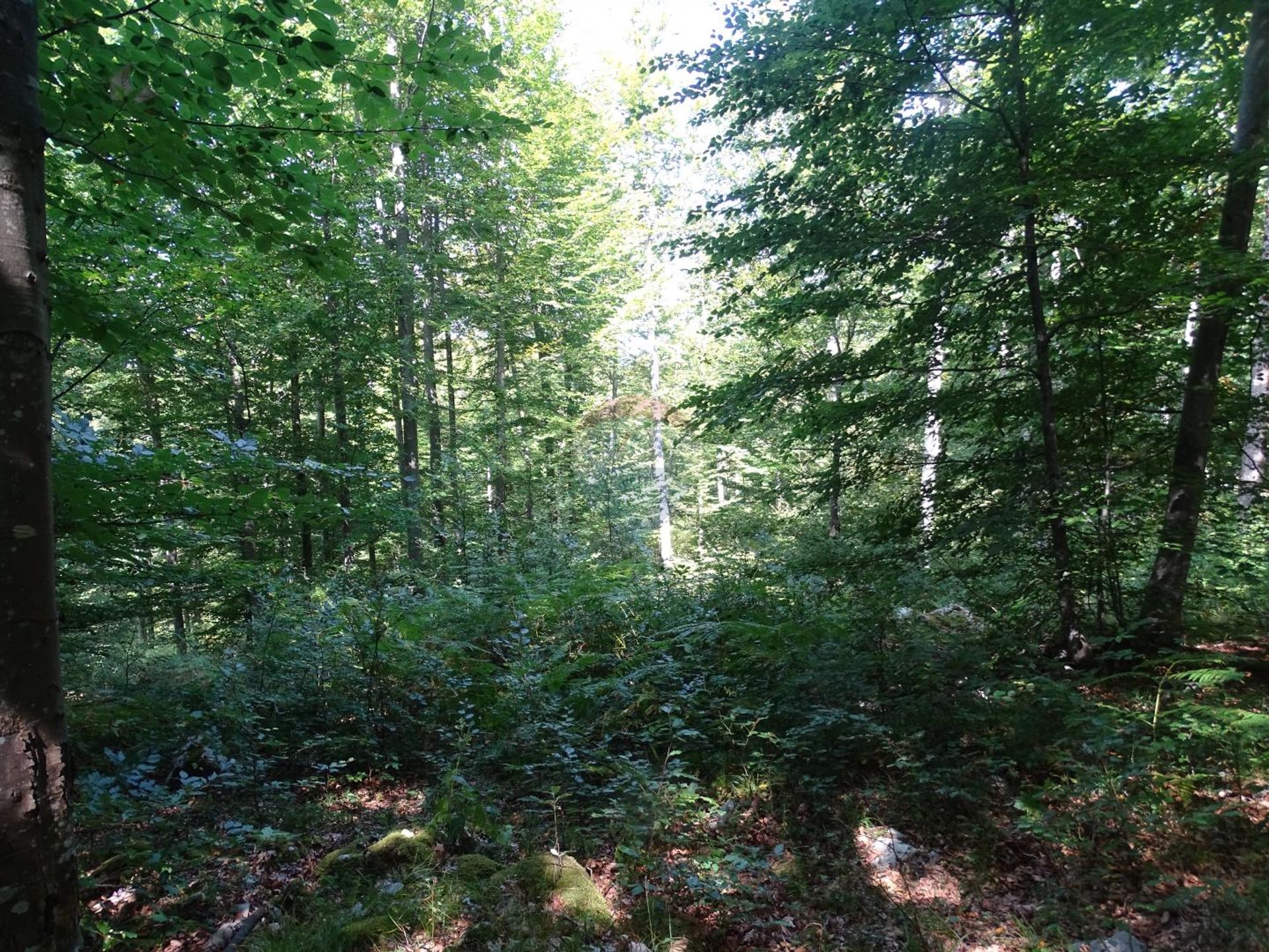 Land in Mrkopalj, Primorsko-Goranska Zupanija 12034560