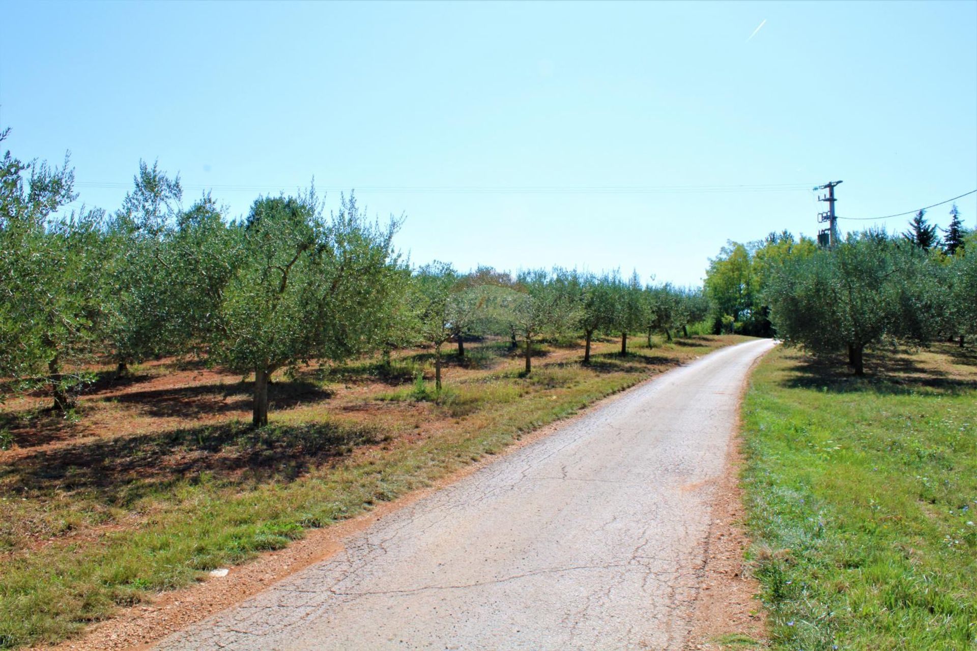 Terre dans Vizinada, Istarska Zupanija 12034613