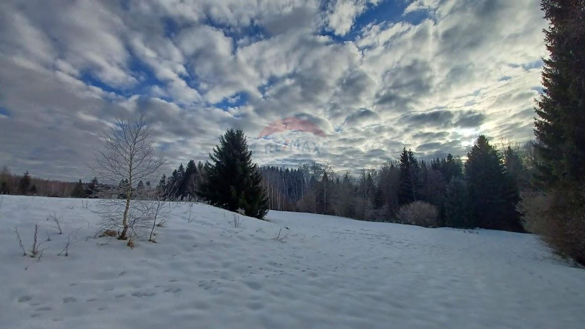 Tanah dalam Leskova Draga, Primorsko-goranska županija 12034618