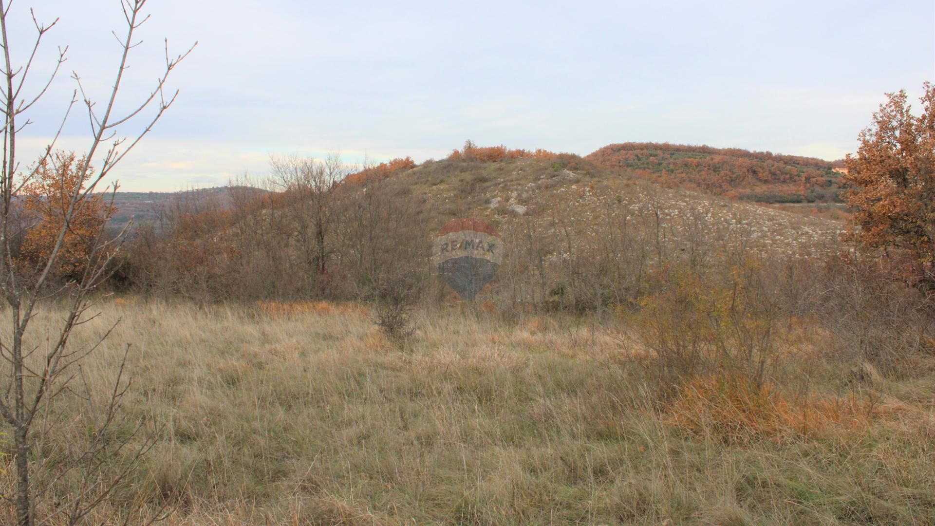 Land in Momjan, Istarska županija 12034631