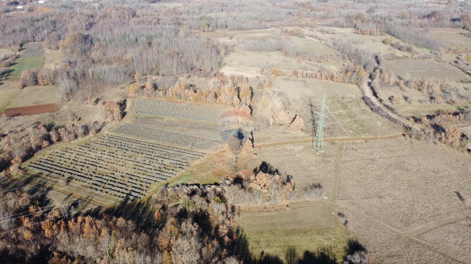 Terre dans Nédescina, Istarska Zupanija 12034639