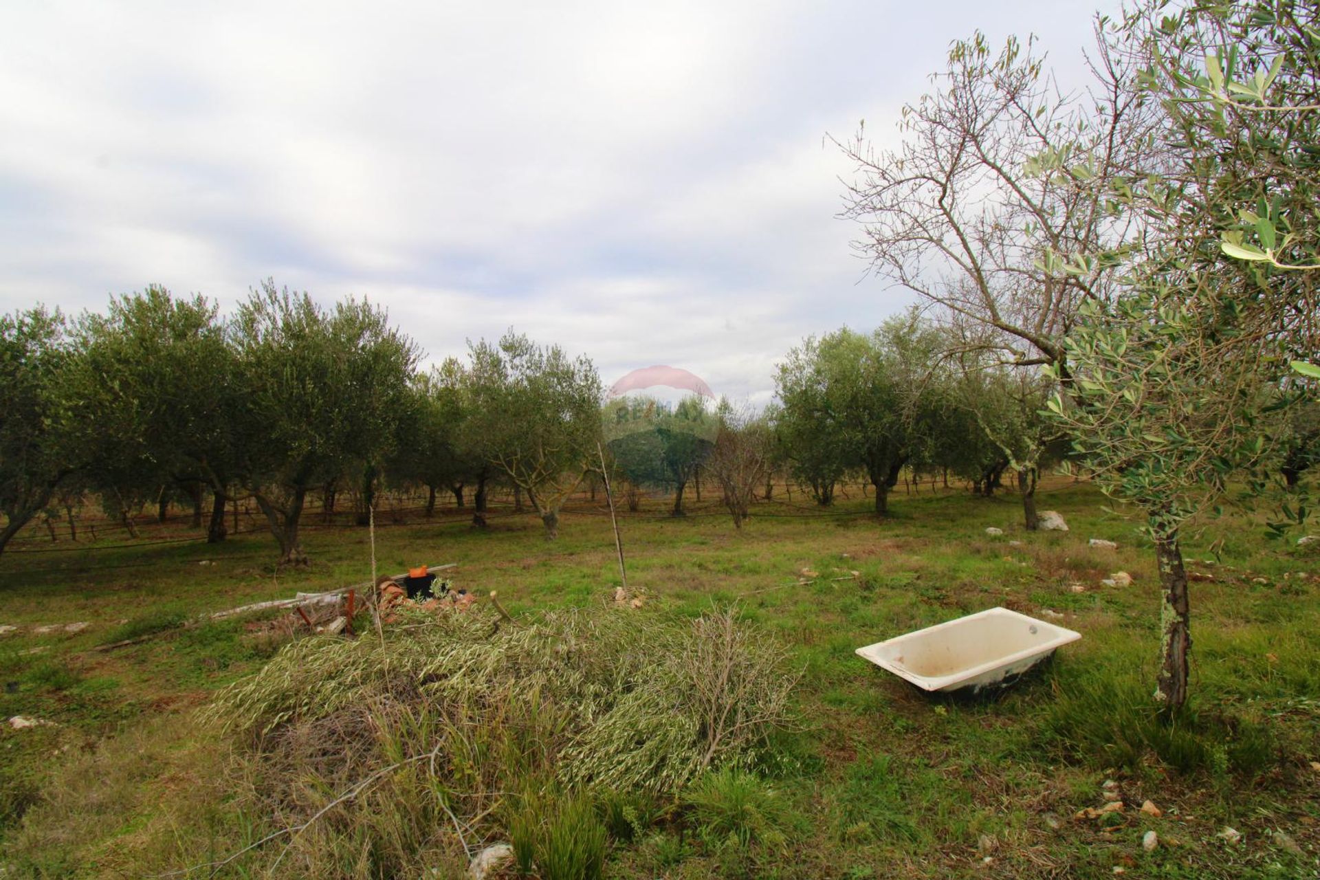 Hus i Rovinj, Istarska Zupanija 12034679