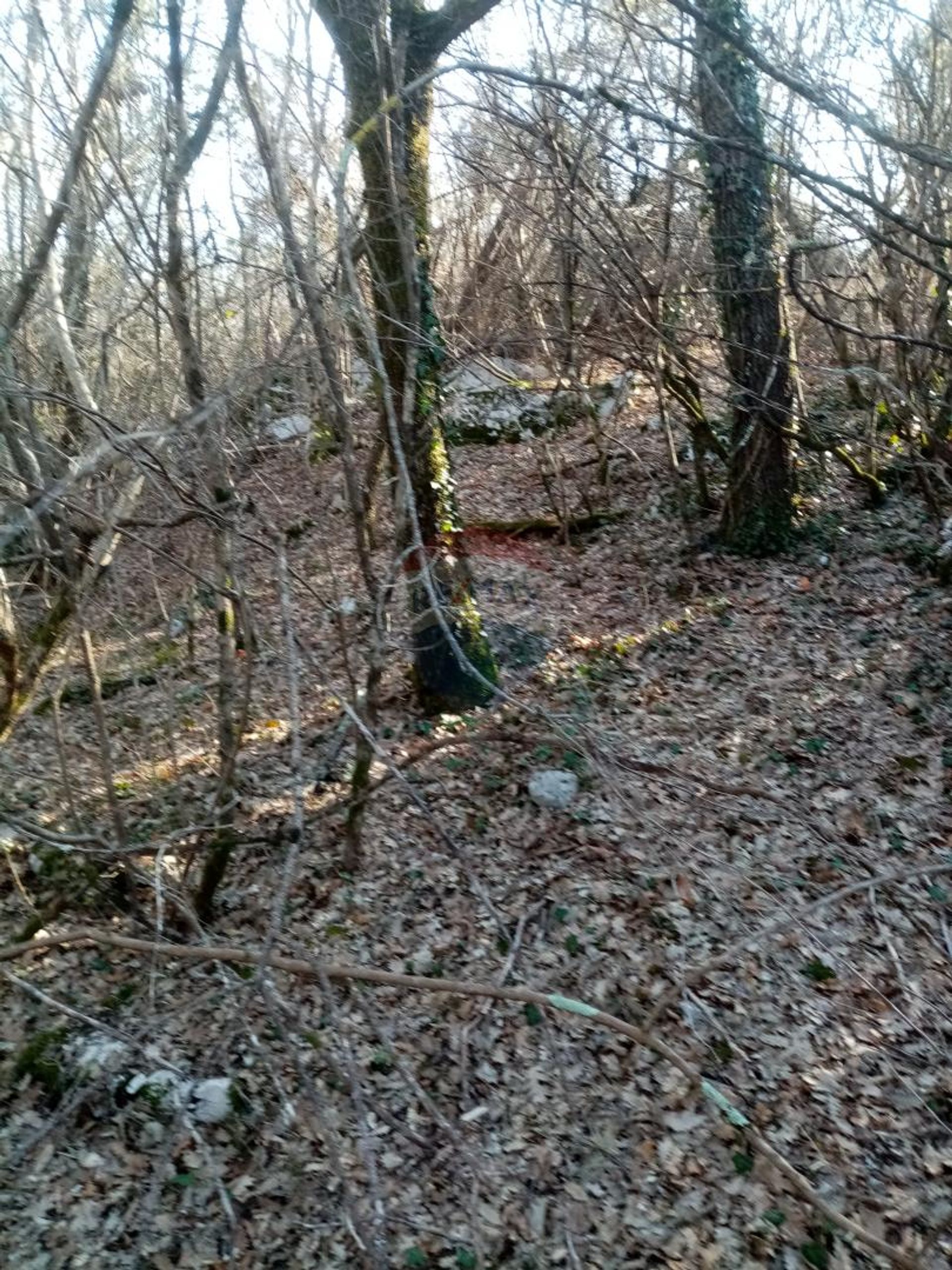 Land in Žminj, Istarska županija 12034680