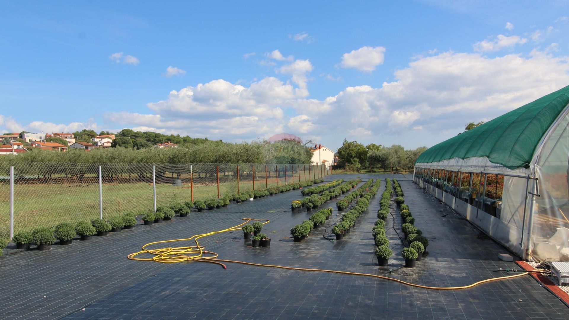 Terre dans Poreč, Istarska županija 12034739