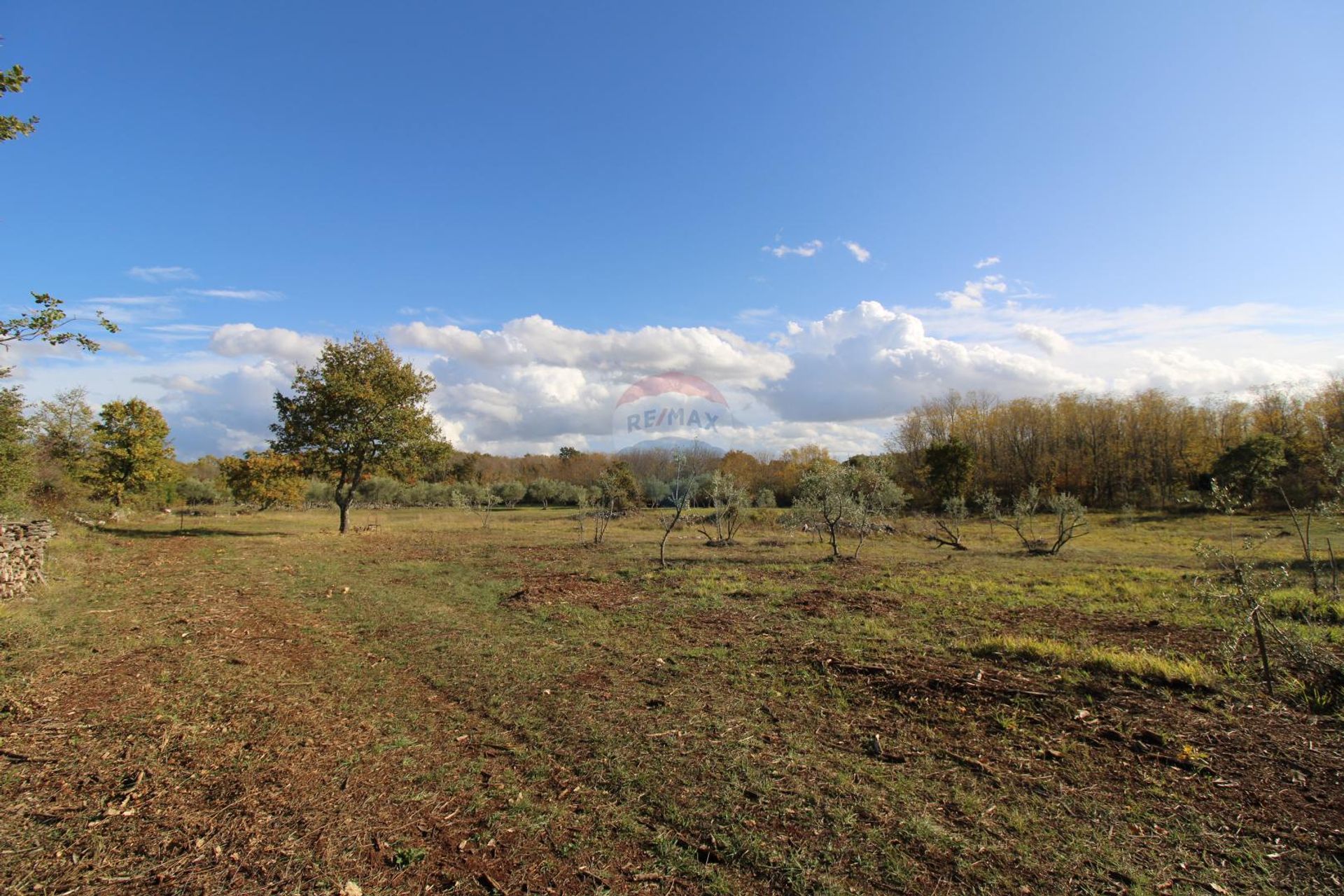 Jord i Labinci, Istarska županija 12034756