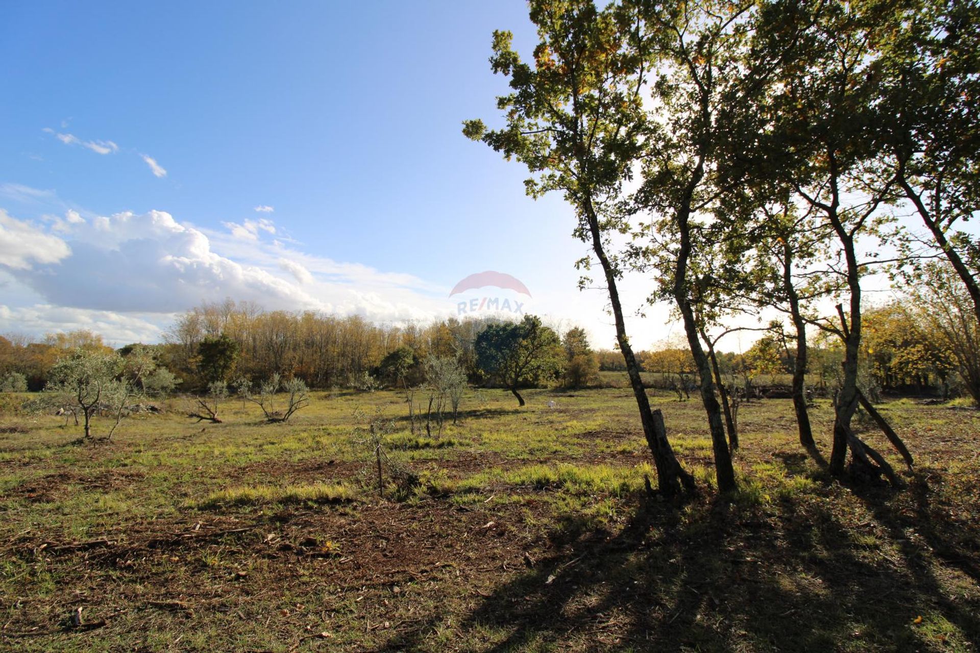 Land in Kastelir, Istarska Zupanija 12034756