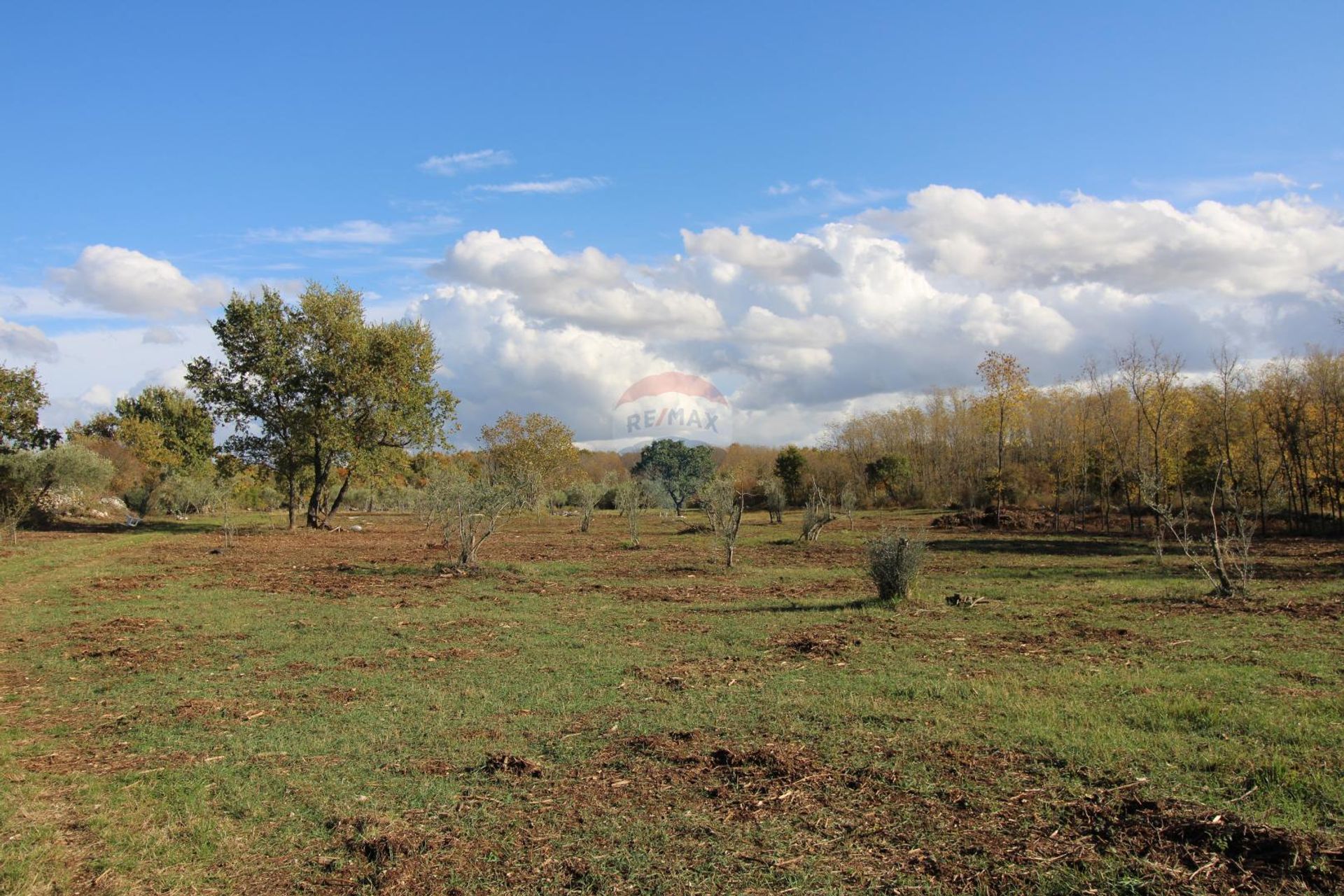 Land in Kastelir, Istarska Zupanija 12034756