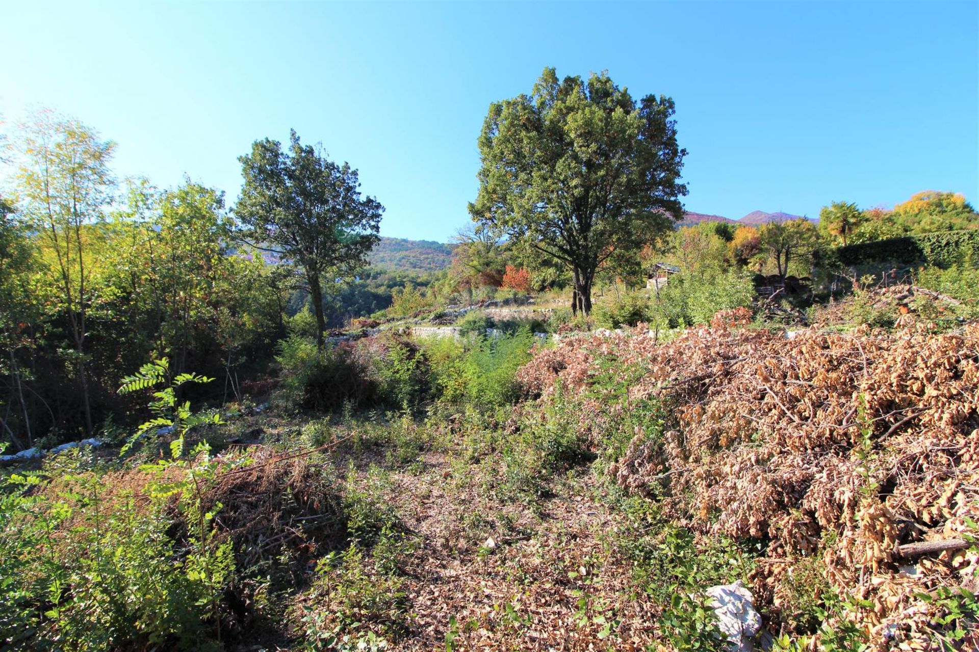 Land im Ičići, Primorsko-goranska županija 12034782