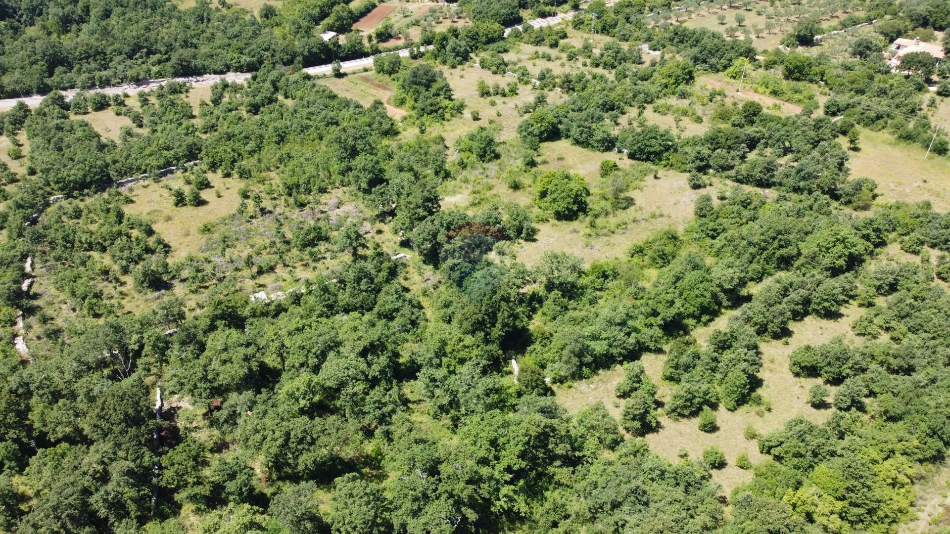 Land in Svetvincenat, Istarska Zupanija 12035034