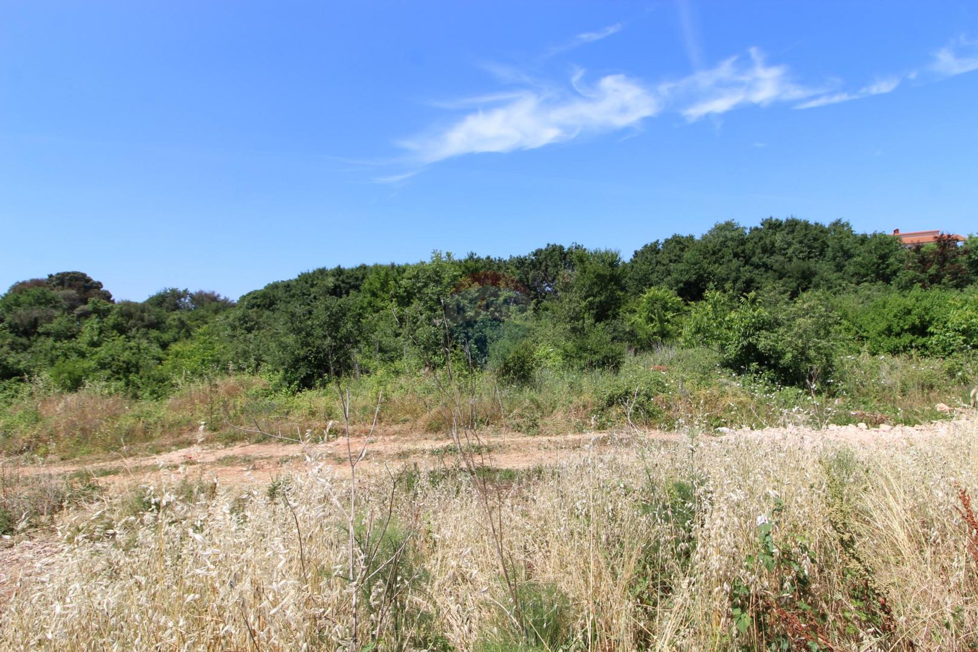 Tierra en Pula, Istarska Zupanija 12035060