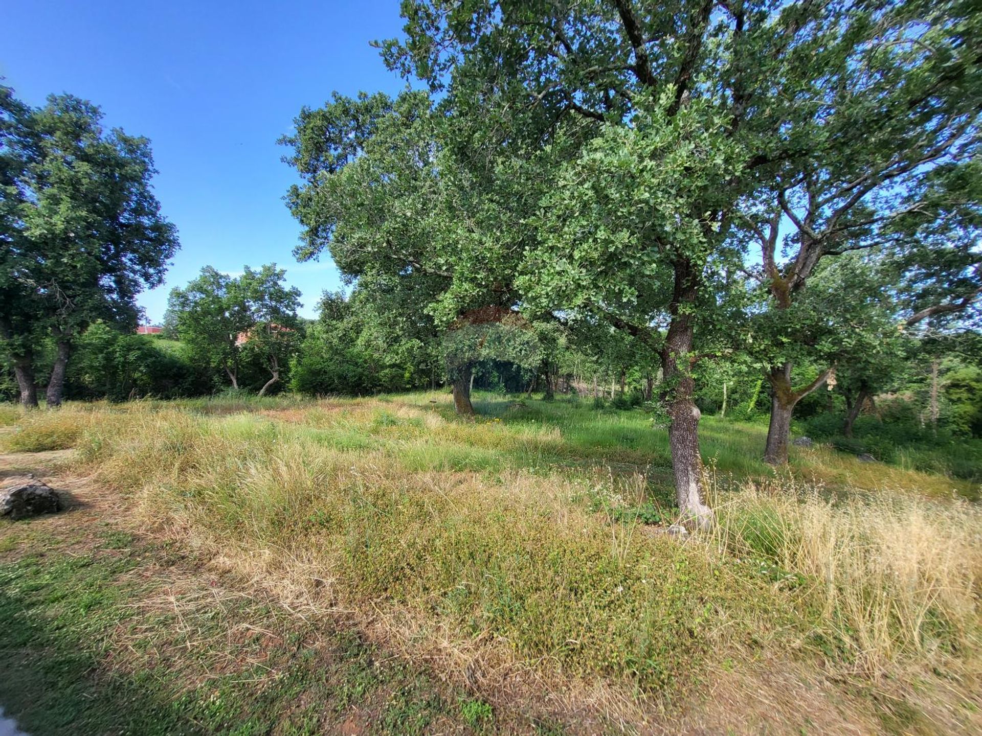 بيت في Sveti Lovreč, Istarska županija 12035063