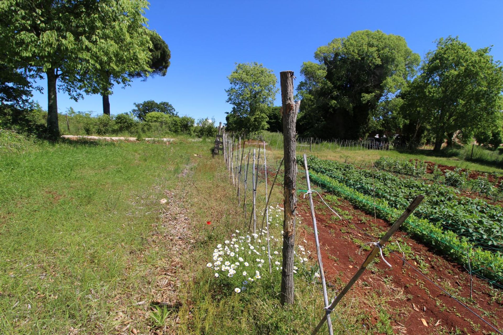 Земля в Kaštelir, Istarska županija 12035066