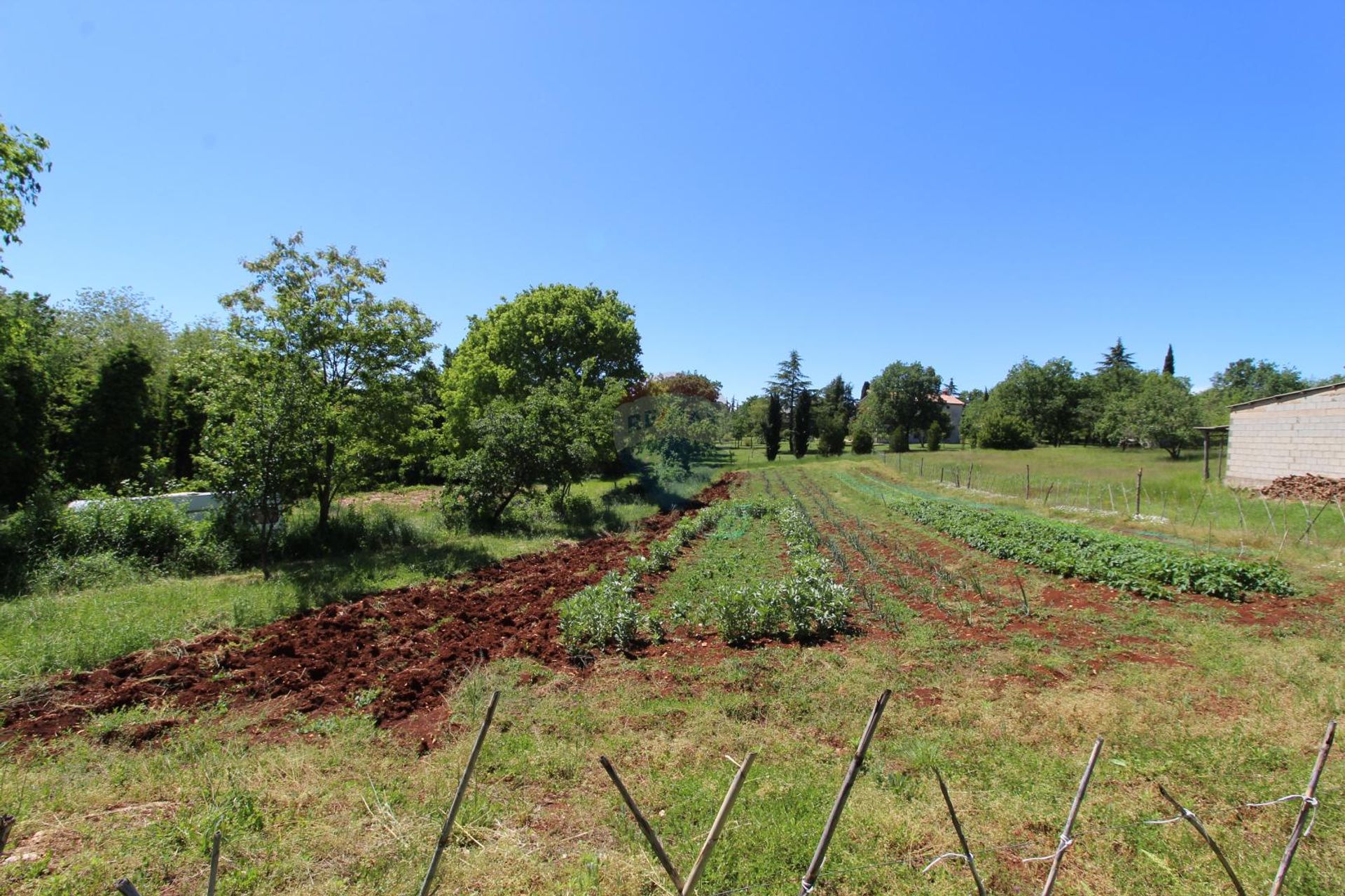 Land in Kastelir, Istarska Zupanija 12035066