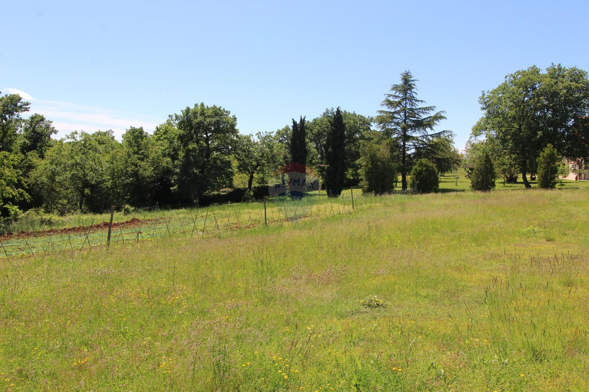 Land im Kaštelir, Istarska županija 12035066