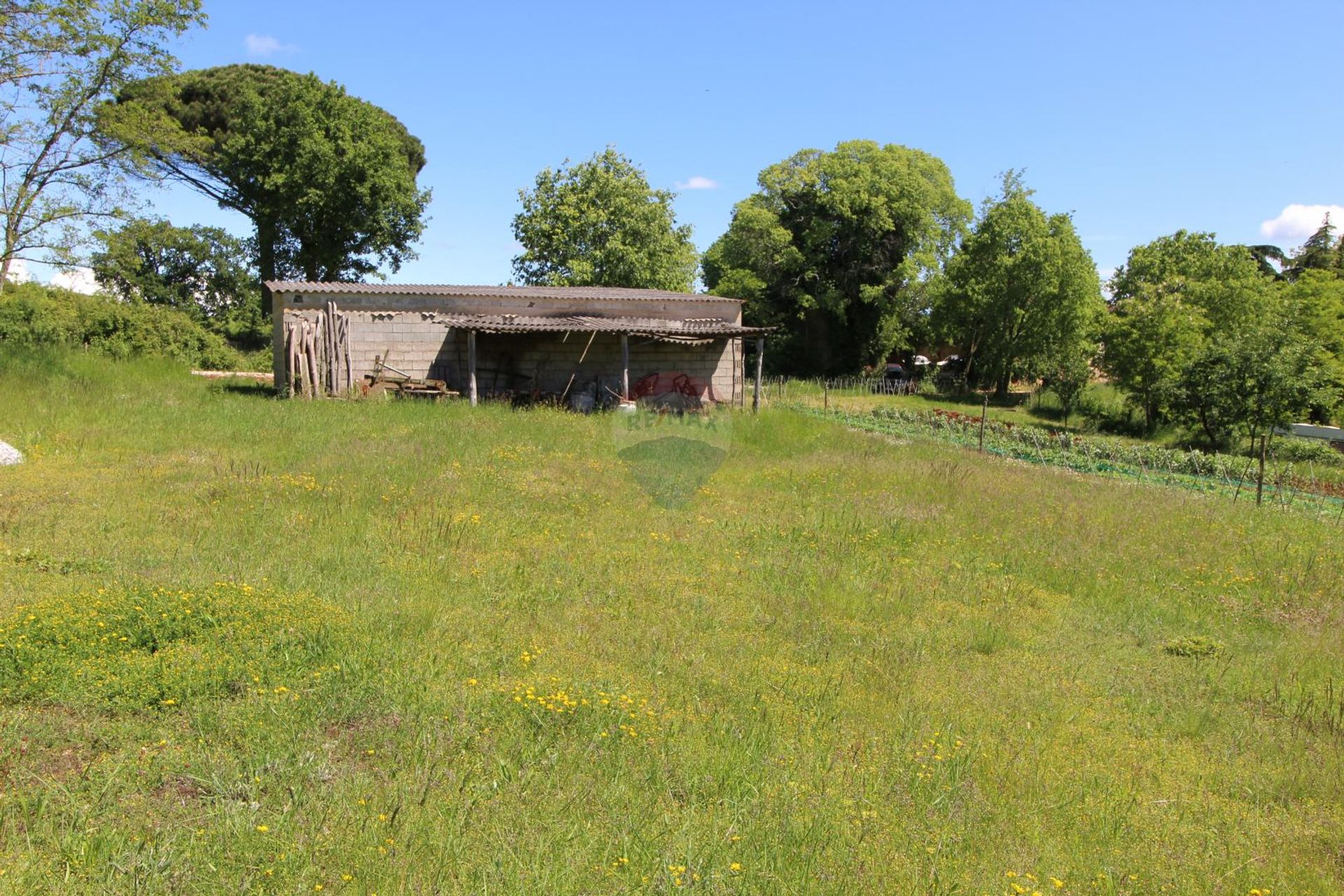 Land im Kaštelir, Istarska županija 12035066