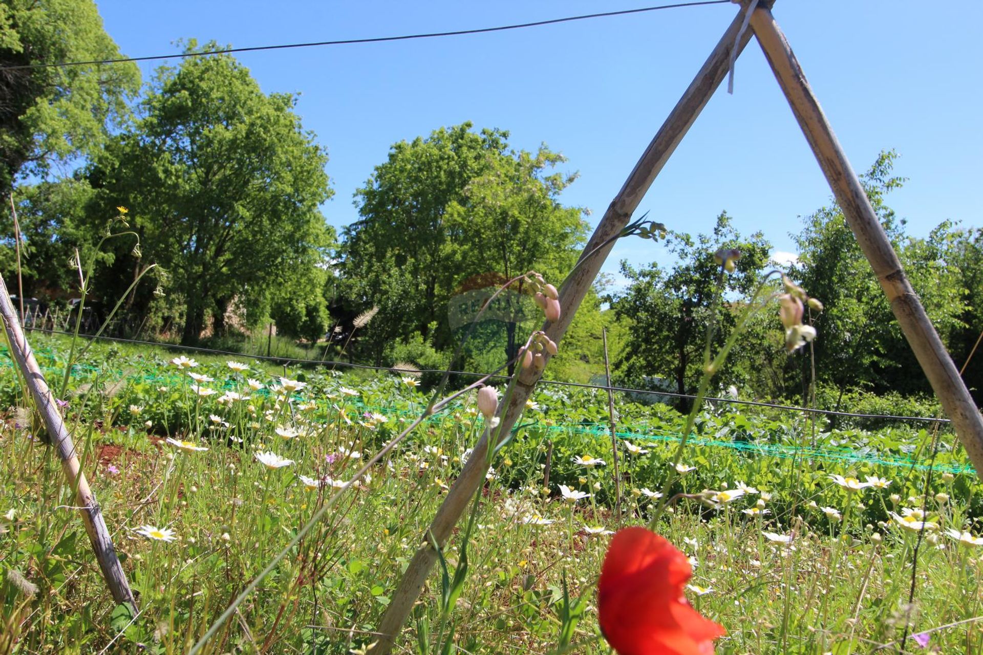 Tierra en castillo, Istarska Županija 12035066