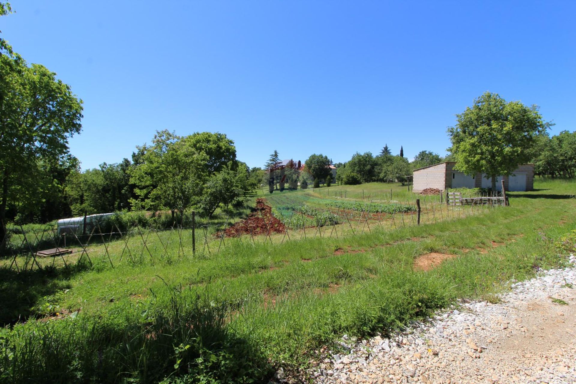 Terre dans Kaštelir, Istarska županija 12035066