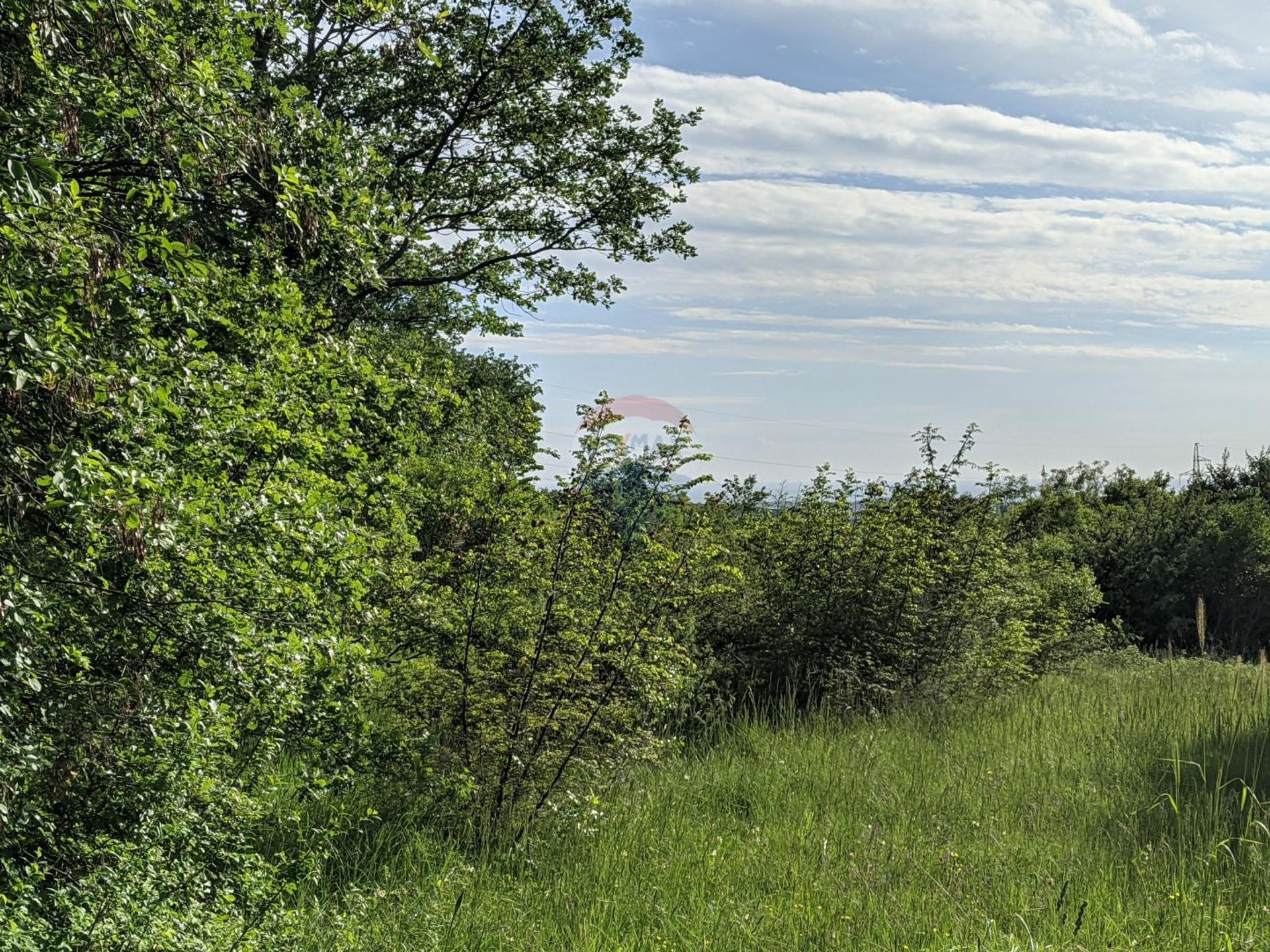 Land in Sveti Lovrec Pazenaticki, Istarska Zupanija 12035125