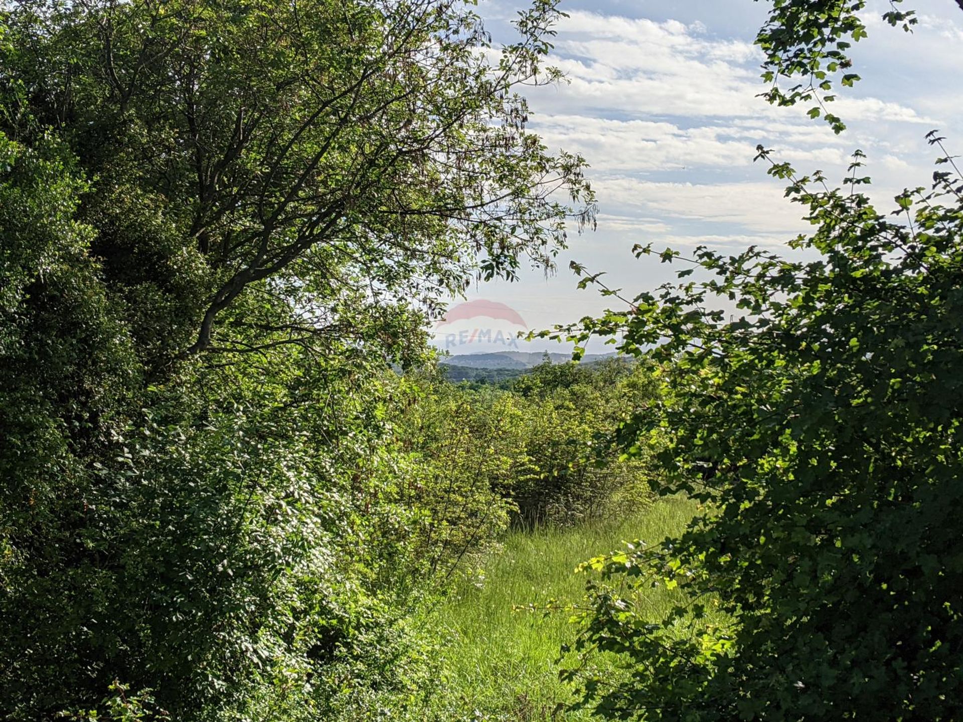 Sbarcare nel Rovinjsko Selo, Istarska županija 12035125