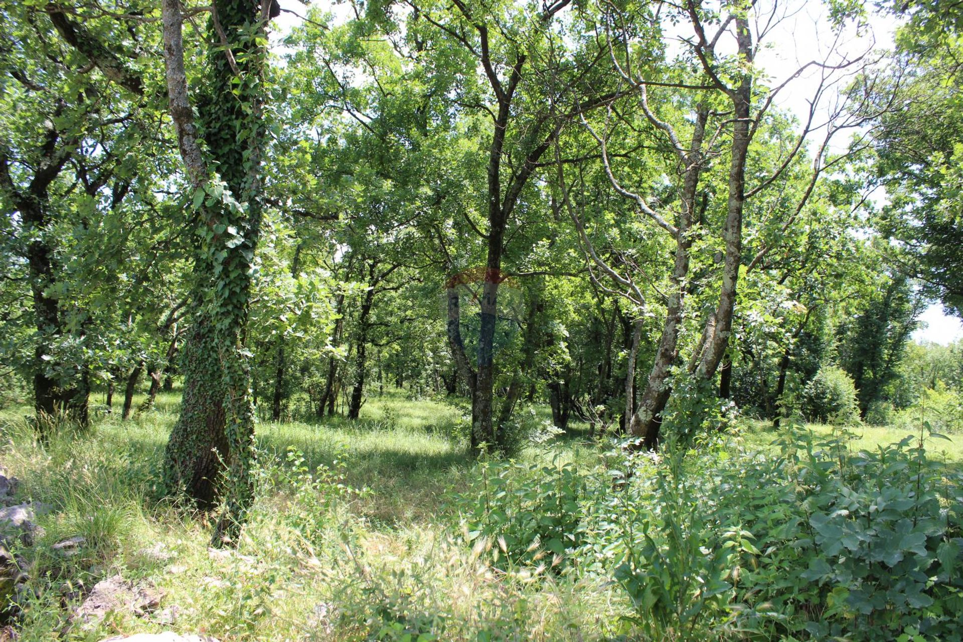 Jord i Cavle, Primorsko-Goranska Zupanija 12035144